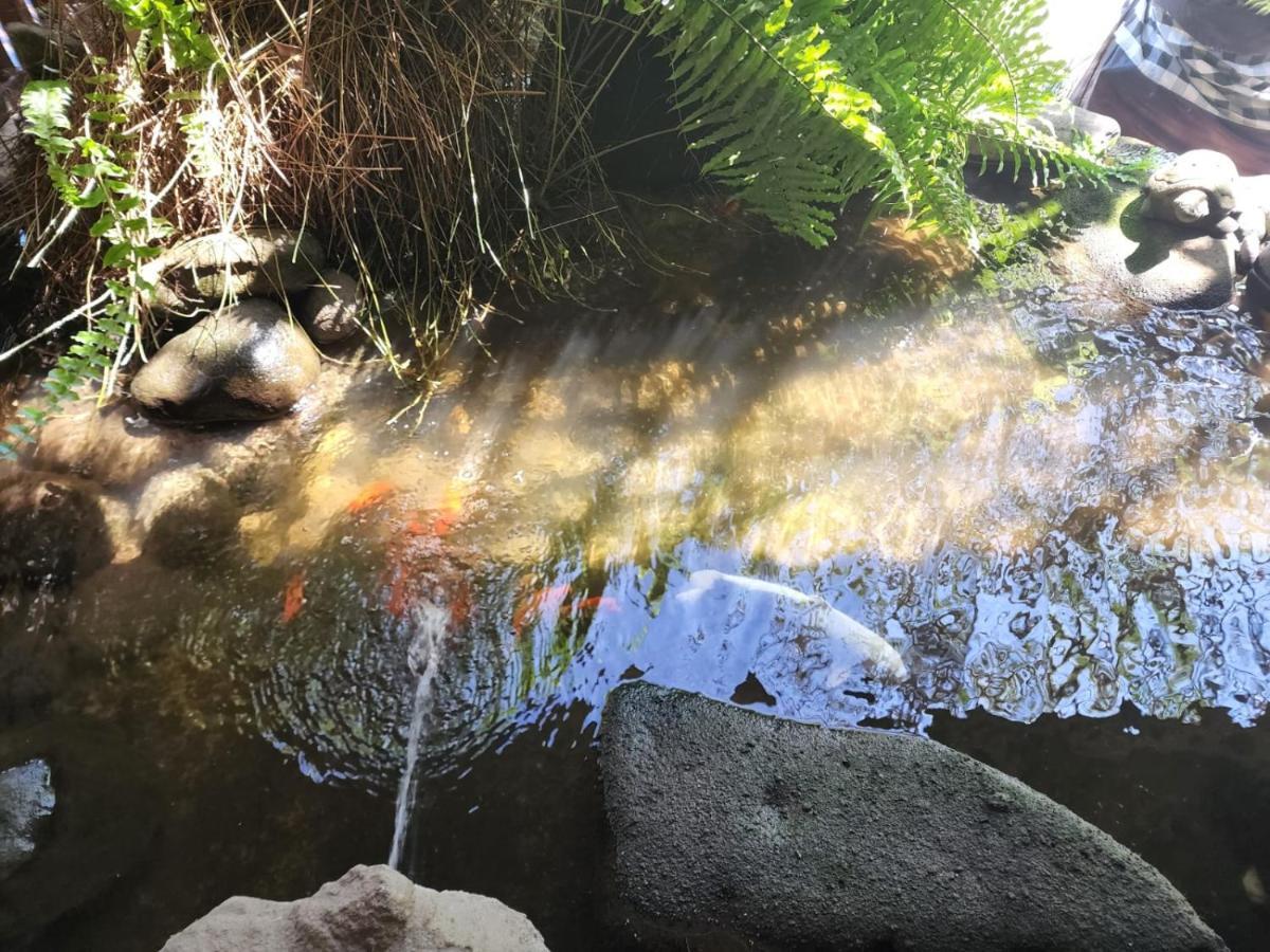 Appartamento Mai Malu Pulukan Esterno foto